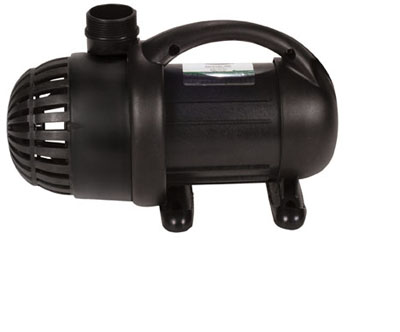 AquaSurge 2000 Pump